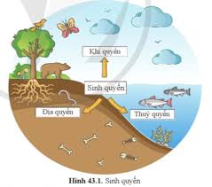 Chủ đề 9: Sinh quyển